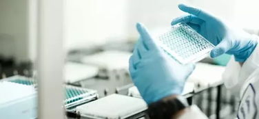 生物技术赋能化妆品植物原料开发 开启绿色美容新纪元